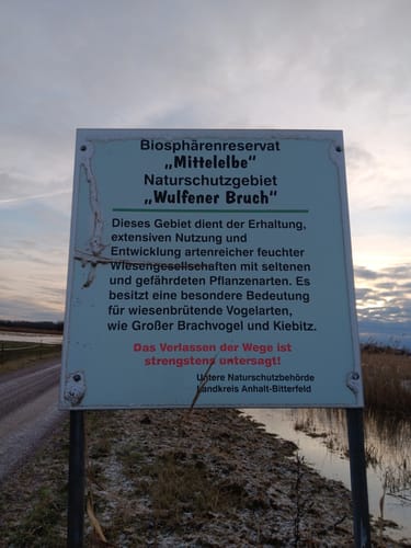 Mit dem Rad durch Wulfener Bruch und über den Elbdeich