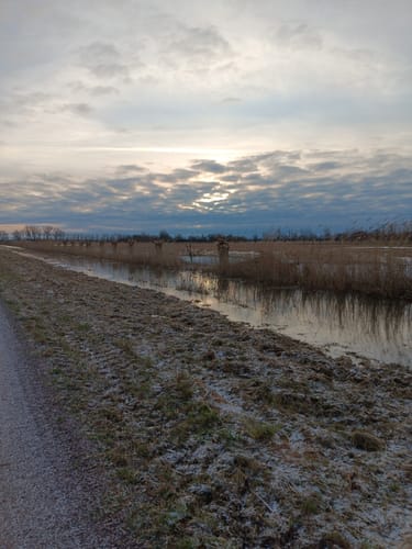 Mit dem Rad durch Wulfener Bruch und über den Elbdeich