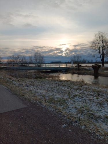 Mit dem Rad durch Wulfener Bruch und über den Elbdeich