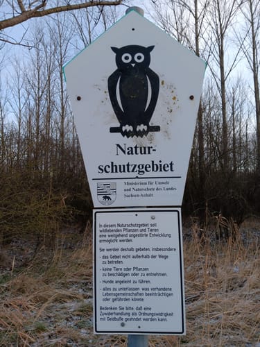 Mit dem Rad durch Wulfener Bruch und über den Elbdeich