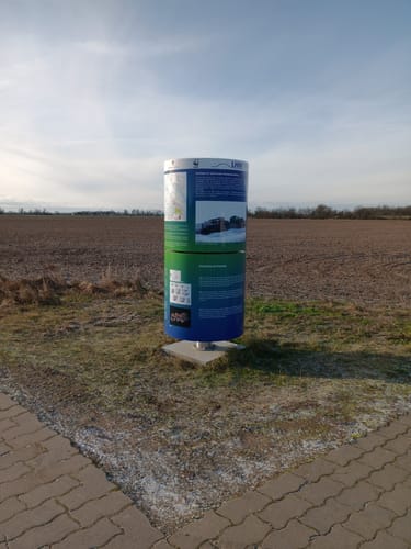 Mit dem Rad durch Wulfener Bruch und über den Elbdeich