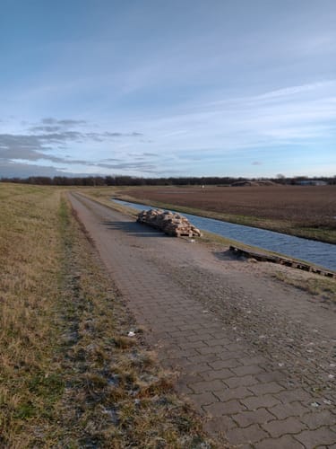Mit dem Rad durch Wulfener Bruch und über den Elbdeich