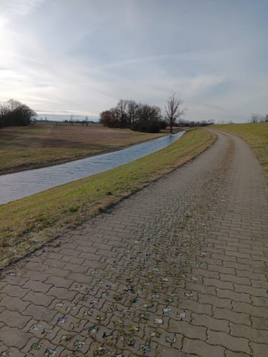 Mit dem Rad durch Wulfener Bruch und über den Elbdeich