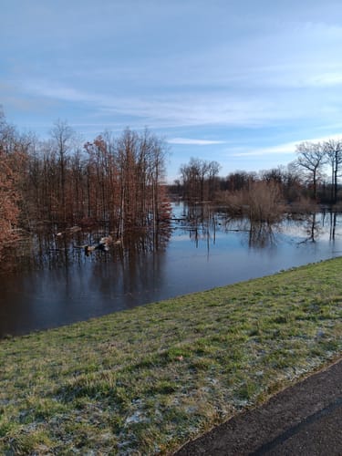 Mit dem Rad durch Wulfener Bruch und über den Elbdeich