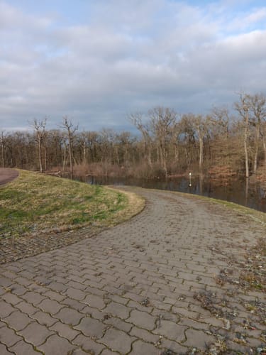 Mit dem Rad durch Wulfener Bruch und über den Elbdeich