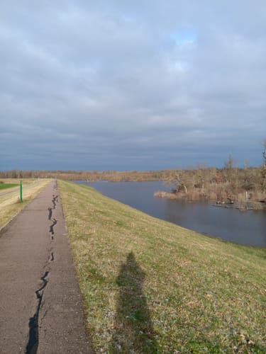 Mit dem Rad durch Wulfener Bruch und über den Elbdeich