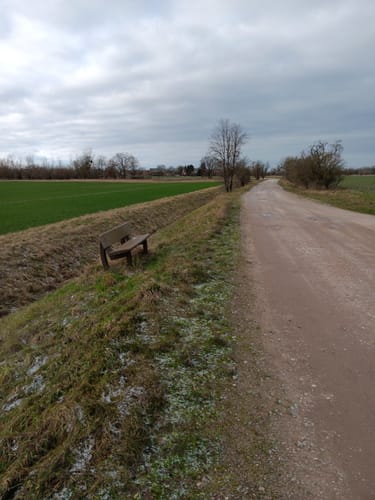 Mit dem Rad durch Wulfener Bruch und über den Elbdeich
