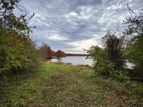 Best Hikes and Trails in James A Reed Wildlife Area | AllTrails