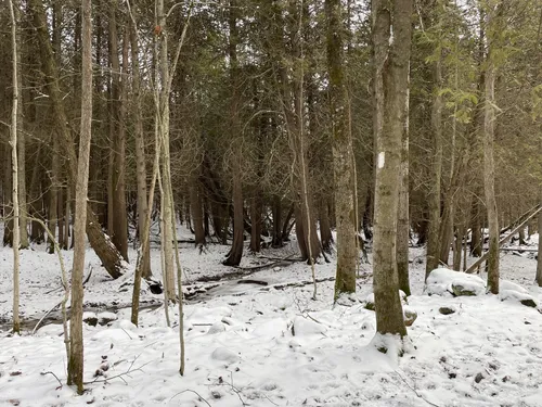 Best Lake Trails in Pretty River Valley Provincial Park | AllTrails