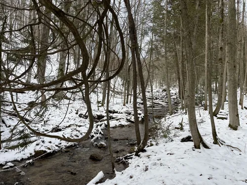 Best Lake Trails in Pretty River Valley Provincial Park | AllTrails