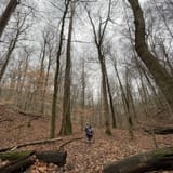 Scotts Gap Loop Trail, Kentucky - 940 Reviews, Map | AllTrails