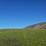 Mission Peak via Peak Meadow Trail, California - 631 Reviews, Map