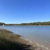 Sandpiper, Avian, and Big Ferry Trails Loop, Georgia - 1,095 Reviews ...