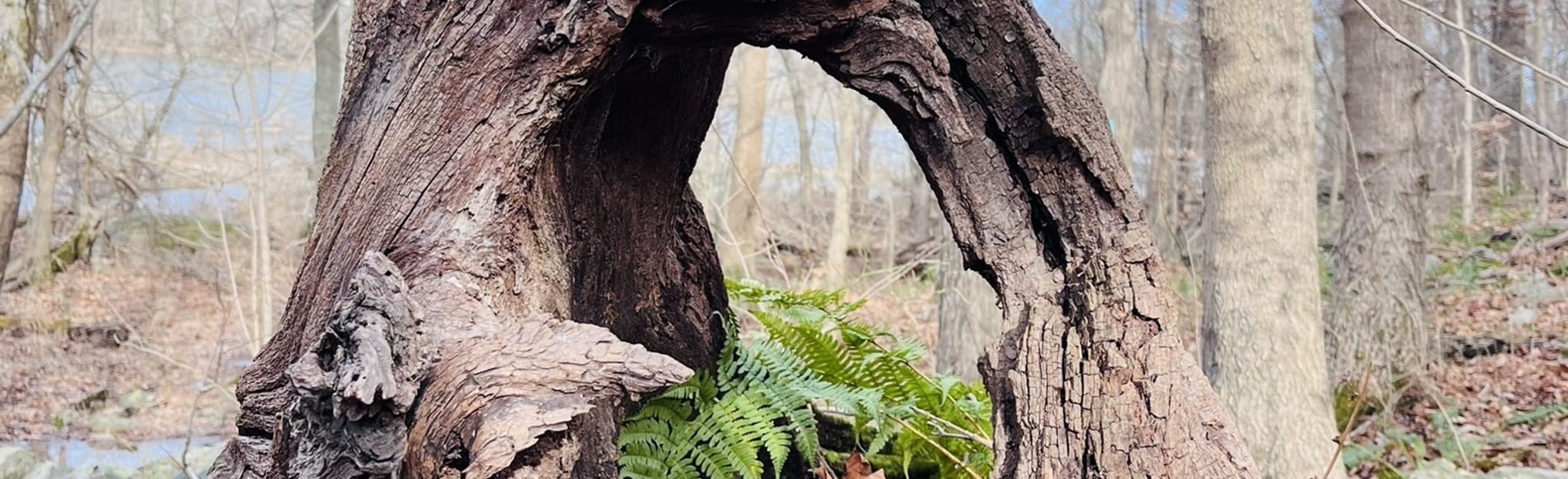 Turkey Run and Potomac Heritage Trail, Virginia 2,992 Reviews, Map