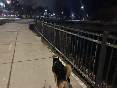 se permiten perros en los parques de chicago