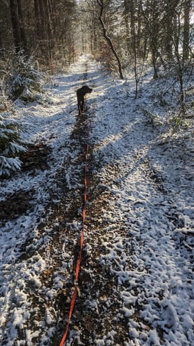 Nordpfad 'Zwei Mühlen'