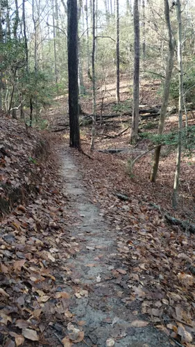 York river state park mountain 2025 biking
