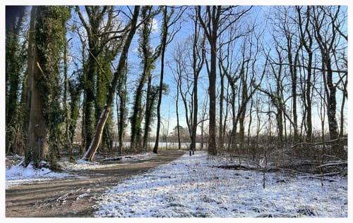 Wilhelmshavener Stadtpark