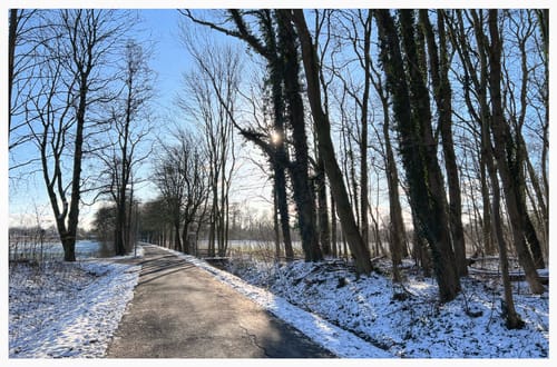 Wilhelmshavener Stadtpark
