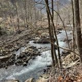 Big Soddy Creek Gulf Trail, Tennessee - 615 Reviews, Map | AllTrails