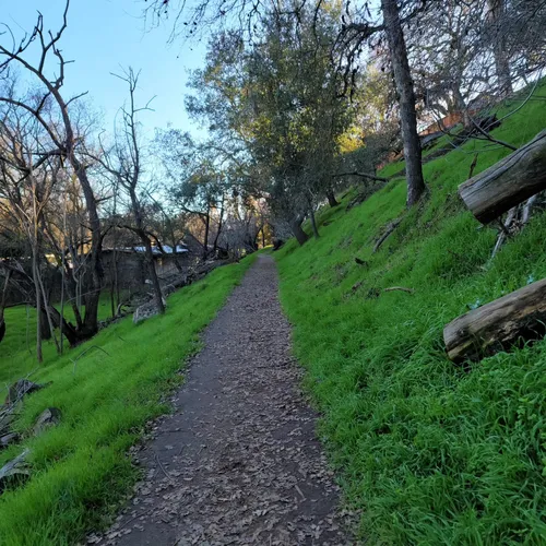 Best Hikes and Trails in Ancil Hoffman Park AllTrails