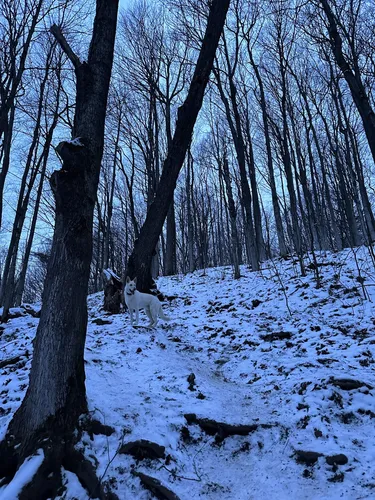 Best Lake Trails in Pretty River Valley Provincial Park | AllTrails