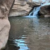 Mill Creek Trail, Utah - 2,485 Reviews, Map | AllTrails