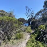 Dora Point via Grants Point and Binalong Bay, Tasmania, Australia - 10 ...