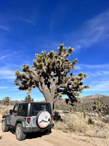 Best Off Roading Trails in San Diego