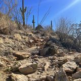 Pontatoc Ridge Trail, Arizona - 1,609 Reviews, Map | AllTrails