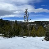 Maxwell Falls Trail, Colorado - 10,476 Reviews, Map | AllTrails