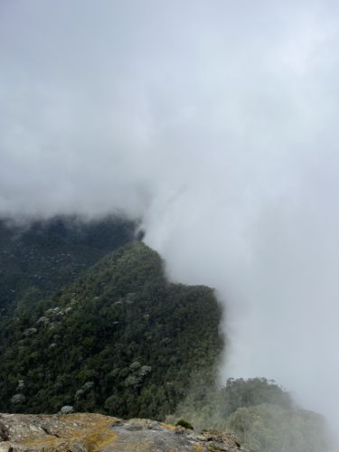 Pico de Loro Cali - Colombia - Arte Fotográfico