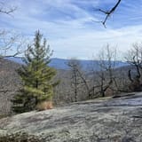 Butter Gap to Cat Gap Trail, North Carolina - 508 Reviews, Map | AllTrails