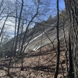 Butter Gap to Cat Gap Trail, North Carolina - 508 Reviews, Map | AllTrails