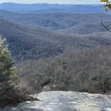 Butter Gap to Cat Gap Trail, North Carolina - 508 Reviews, Map | AllTrails