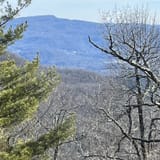 Butter Gap to Cat Gap Trail, North Carolina - 508 Reviews, Map | AllTrails