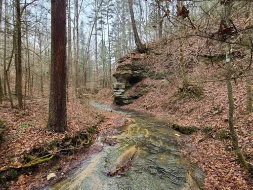 10 Best Hikes and Trails in Natural Bridge State Park | AllTrails