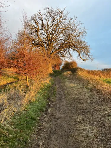 10 Best Easy Trails In Mendip Hills National Landscape (AONB) | AllTrails