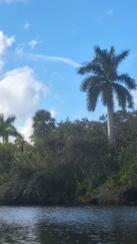 Best Hikes and Trails in Lee County Manatee Park | AllTrails