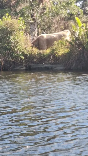 Best Hikes and Trails in Lee County Manatee Park | AllTrails