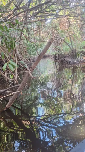 Best Hikes and Trails in Lee County Manatee Park | AllTrails