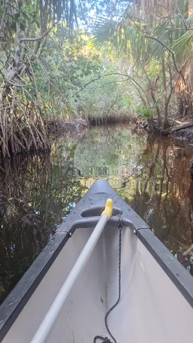 Best Hikes and Trails in Lee County Manatee Park | AllTrails