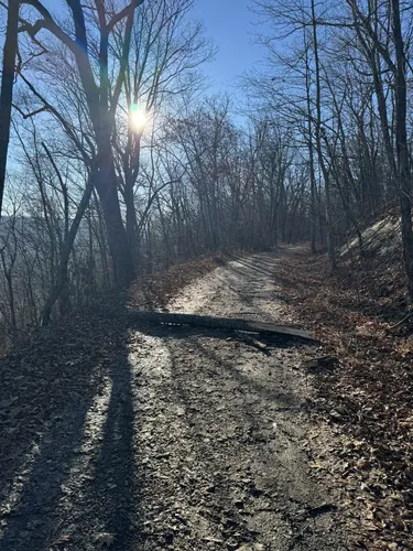 Best Cave Trails in George Washington - EyJidWNrZXQiOiJhc3NldHMuYWxsdHJhaWxzLmNvbSIsImtleSI6InVwbG9hZHMvcGhvdG8vaW1hZ2UvNjk2NDA0ODMvOTIxZmQwODRkN2I0NzE0ZTBkMTdlNmU5YWY4YmQ2ZDcuanBnIiwiZWRpdHMiOnsidG9Gb3JtYXQiOiJ3ZWJwIiwicmVzaXplIjp7IndpZHRoIjo1MDAsImhlaWdodCI6NTAwLCJmaXQiOiJpbnNpZGUifSwicm90YXRlIjpudWxsLCJqcGVnIjp7InRyZWxsaXNRdWFudGlzYXRpb24iOnRydWUsIm92ZXJzaG9vdERlcmluZ2luZyI6dHJ1ZSwib3B0aW1pc2VTY2FucyI6dHJ1ZSwicXVhbnRpc2F0aW9uVGFibGUiOjN9fX0=