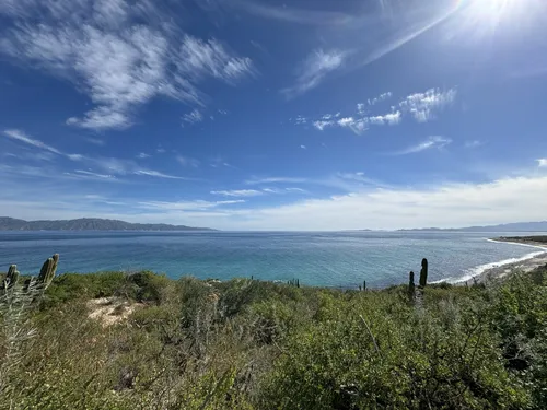 10 Best Trails and Hikes in Baja California Sur | AllTrails