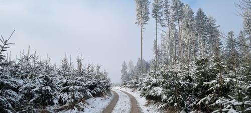Felder und Wälder bei Buch am Erlbach