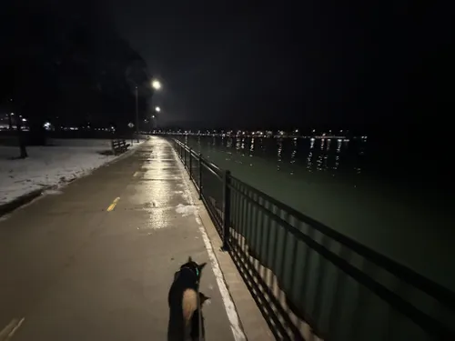 se permiten perros en los parques de chicago