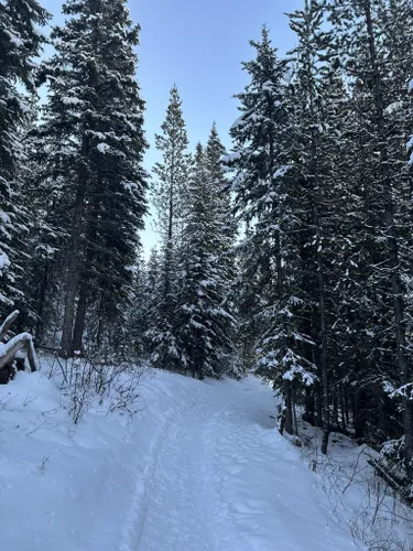 Best Snowshoeing Trails in Kager Lake Recreation Site | AllTrails