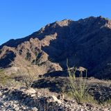 Fortuna Peak - WWII B-17 Crash Site, Arizona - 354 Reviews, Map | AllTrails