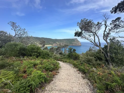 10 Best Walking Trails in Booderee National Park | AllTrails