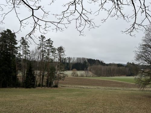 Pfahlweg (Sd05)